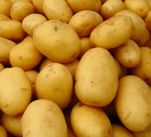 Burgonyák