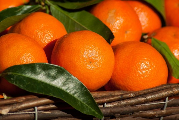 Klementin mandarin